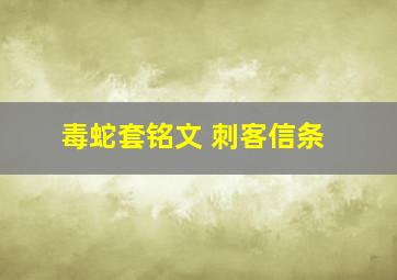 毒蛇套铭文 刺客信条